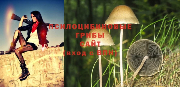 гидра Белоозёрский