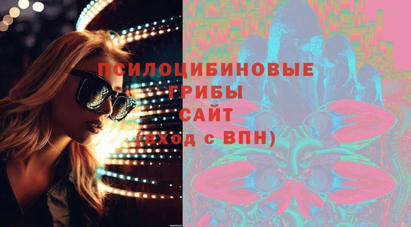 гидра Белоозёрский
