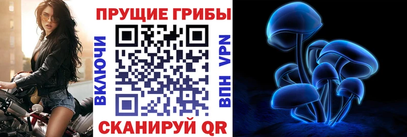 Псилоцибиновые грибы GOLDEN TEACHER  продажа наркотиков  Афипский 